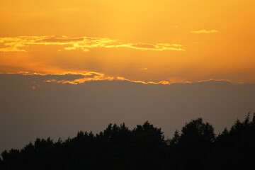 Obraz premium Sunset over the forest