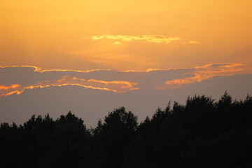 Obraz premium Sunset over the forest