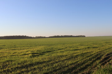 Fototapeta na wymiar field, landscape, sky, sun, summer, grass, countryside