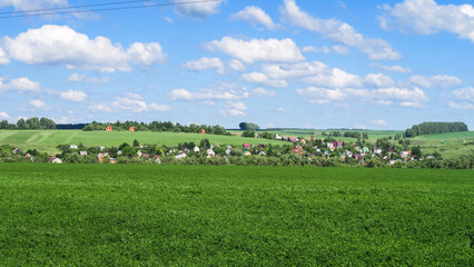 A lawn with green grass all the way to the horizon. Horizontal landscape of a flat field with fresh...