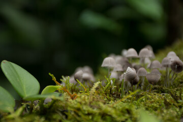 My umbrella is broken