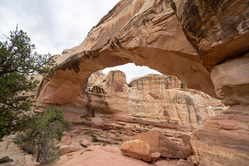 Hickman Bridge, an arch formation in Capitol Reef National Park Utah