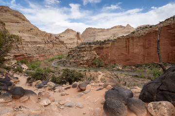 Scenery along the Hickman Bridge hiking Trail, with a road going through the canyon, in Capitol...