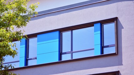 Eco architecture. Green tree and glass office building. The harmony of nature and modernity.