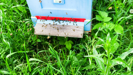 Fototapete bei efototapeten.de bestellen   