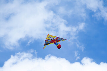 Kite with blue sky and white clouds. Bird in the sky