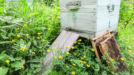 Fototapete bei efototapeten.de bestellen   