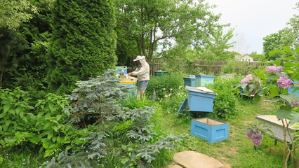 Fototapete bei efototapeten.de bestellen   