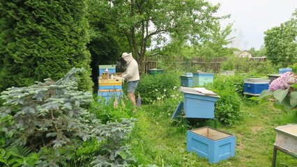 Fototapete bei efototapeten.de bestellen   