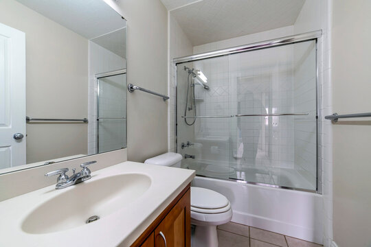 Sink with flush toilet and an enclosed shower bathtub