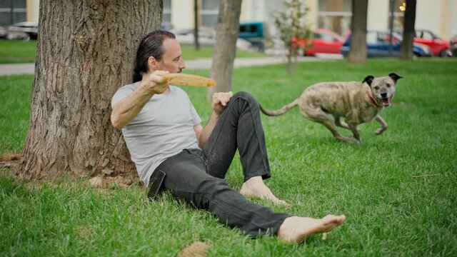 A handsome bearded man sitting on the grass in the park and playing a flying disc with his smart grey dog