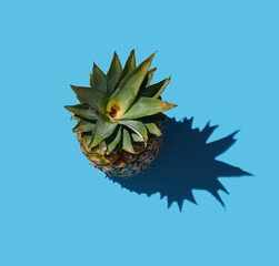 Pineapples with green leaves blue background, top view