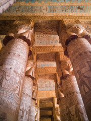 Details of ancient egyptian temple columns