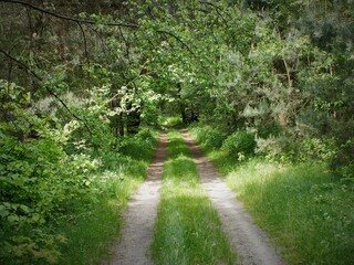 path