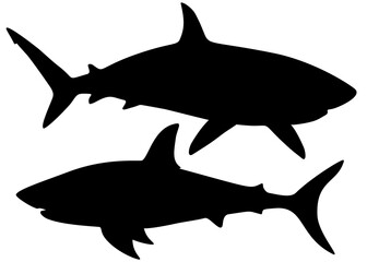 Big sharks. Vector image.