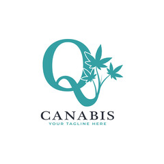 Obraz premium Letter Q Green Canabis Logo Alphabet With Medical Marijuana Leaf. Usable for Business, Science, Healthcare, Medical and Nature Logos.