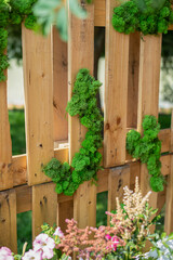 Decorative green moss on a wooden fence or wall. Interior design 