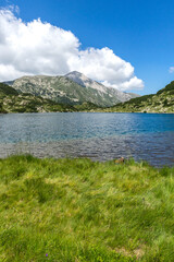 Fish Banderitsa lake at Pirin Mountain, Bulgaria