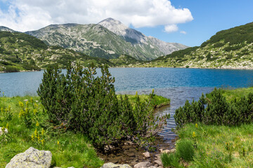 Fish Banderitsa lake at Pirin Mountain, Bulgaria