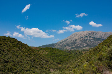 summer mountains green grass and blue sky landscape