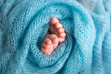 legs of a newborn baby. legs on a blue background. baby feet