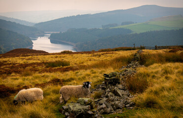 Hiking around the Ladybower Reservoir, Peak District, Derbyshire, England