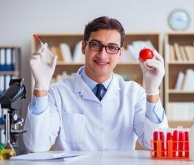 Scientist working on organic fruits and vegetables