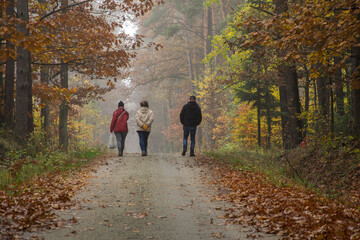 trzy osoby spacerujące po lesie, widziane od tyłu