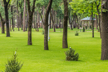 Obraz premium Botanical Garden in Dushanbe, capital of Tajikistan