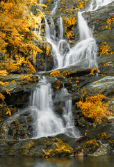 Fototapeta na wymiar Cascata de Água com as cores douradas do outono 
