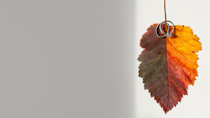 Bright red fallen leaf with pair of wedding rings. Engagement ring with diamond on colorful autumn...