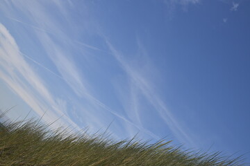 Birds flying around the coastal area of Zeeland. 