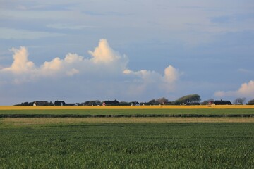 field and blue sky, Southern Jutland, Denmark