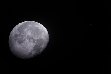 Obraz premium full moon in the night