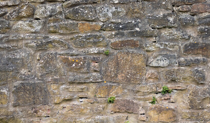 stone wall texture