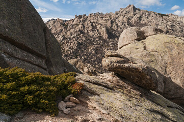 Landscape, La Pedriza, Madrid