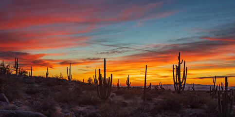 Sunset  Over Desert Landscape Near Phoenix 