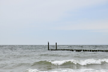 Visit the beach in Zeeland