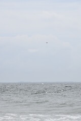 Visit the beach in Zeeland