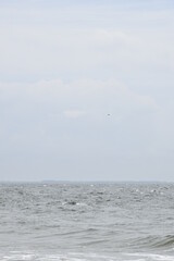 Visit the beach in Zeeland