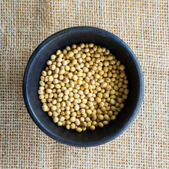 Soybeans - harvest in the state of Mato Grosso do Sul
