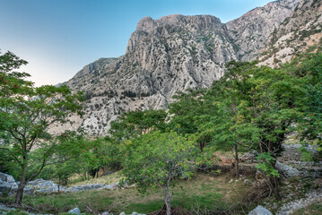 Fototapeta na wymiar Lovcen Mountain surrounded by beautiful green trees and blue sky, Kotor,Montenegro.