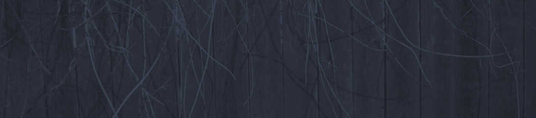 abstract dark grey and blue colors background for design