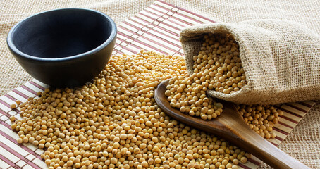 Soybeans - harvest in the state of Mato Grosso do Sul
