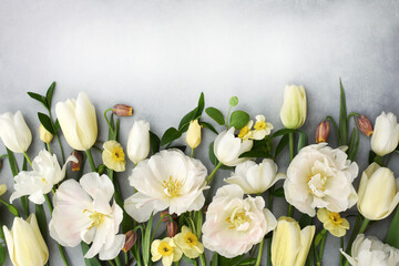 Spring blossoming tulips, pink, white and light yellow flowers festive background, bright springtime bouquet floral card, selective focus