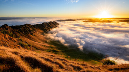 Fototapeta premium Sunrise and morning fog, Te Mata Peak, Hawke's Bay, New Zealand