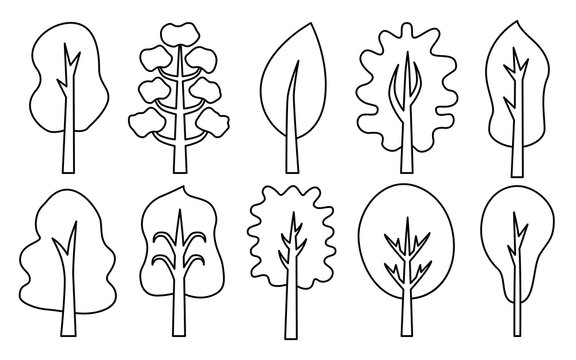 Trees with outline linear silhouette black. Icons for mobile application, website. Vector flat style set. Stickers and labels. Scrapbooking. Illustration for a book or magazine. Advertising. Ecology.