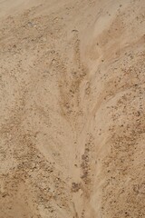 texture of the sand