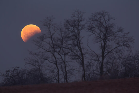 Full Moon Moving On The Night Sky Dome Near Vanishing Point With Red Shadow Of Earth Sphere Going Across And Partially Cowering Its Silhouette During Lunar Eclipse In The Perigeum