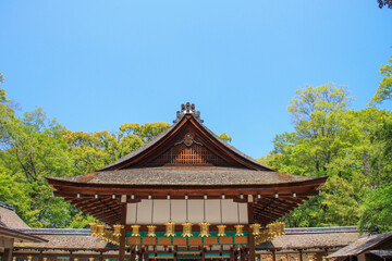 Fototapeta premium 河合神社